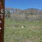 239 & 241 SPRUCE GLEN, Creede, CO 81130 ID:8437065