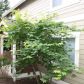 12112 113th Avenue Court E Unit 5, Puyallup, WA 98374 ID:8809221