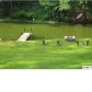 598 RIVER BEND CIR, Talladega, AL 35160 ID:8817124