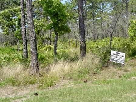 Lot 31 Royal Tern Way, Carrabelle, FL 32322