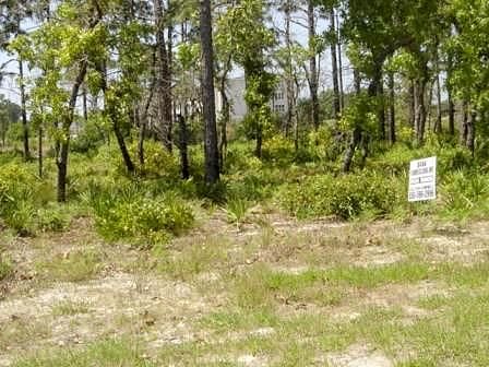 Lot 26 Royal Tern Way, Carrabelle, FL 32322