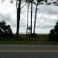 W. Us Hwy 98, Carrabelle, FL 32322 ID:8823619