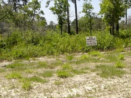 Lot 15 Royal Tern Way, Carrabelle, FL 32322