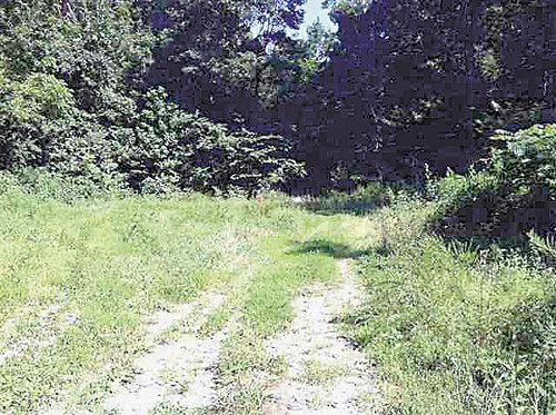 Lot 25 Long Beard Lane, Tazewell, TN 37879