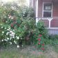 7951 30th Avenue SW, Seattle, WA 98126 ID:8809250