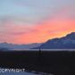 3675 E Serendipity Loop, Wasilla, AK 99654 ID:8642311