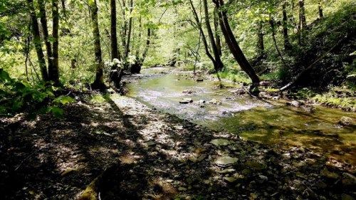 00 Off Swan Creek Road, Sneedville, TN 37869