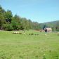 181 Shadow Lake Road, Glover, VT 05839 ID:8820416