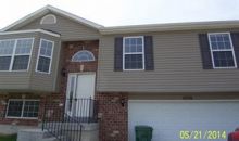 6236 Twin Springs Cedar Hill, MO 63016