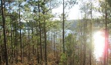 Lot 8, Riverknole S/D Tallassee, AL 36078