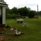 5475 Cove Road, Jasper, GA 30143 ID:8803940