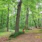 193 Copper Mill Road, Dahlonega, GA 30533 ID:8714243