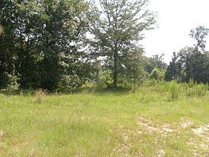 Lee Rd 2166, Smiths Station, AL 36877