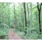 855 Bagwell Trail, Waleska, GA 30183 ID:9013755