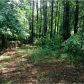 195 Viola Drive, Dallas, GA 30157 ID:8995395