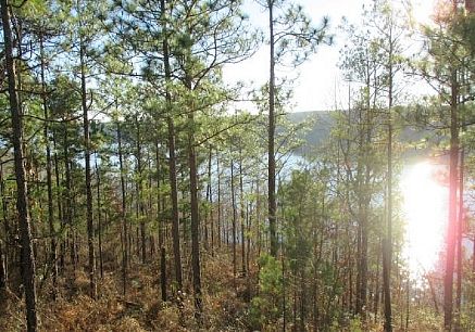 Lot 8, Riverknole S/D, Tallassee, AL 36078