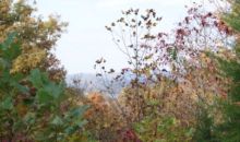 10.97 AC Huffer Lane Allons, TN 38541