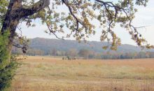 80ac +or- Decatur Hwy Ten Mile, TN 37880