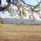 80ac +or- Decatur Hwy, Ten Mile, TN 37880 ID:9076463