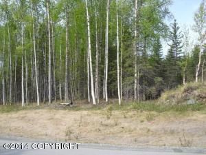 1790 S Hidden View Road, Wasilla, AK 99654