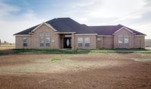 5450 BUFFALO SPRINGS TRL Bushland, TX 79012