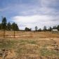 916 Timber Hollow Road, Show Low, AZ 85901 ID:9009534