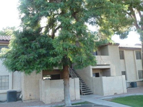 533 W Guadalupe Road Unit #1016, Mesa, AZ 85210