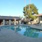 533 W Guadalupe Road Unit #1016, Mesa, AZ 85210 ID:9009912