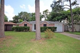 17002 Tibet Rd, Friendswood, TX 77546