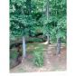 289 Legacy Park Lane, Powder Springs, GA 30127 ID:9013081