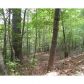 0 Fannin Davis Drive, Blairsville, GA 30512 ID:9159231