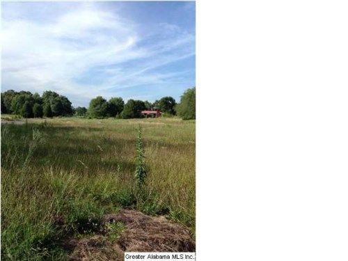 11506 STEMLEY RD 2.89 AC, Lincoln, AL 35096