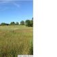 11506 STEMLEY RD 2.89 AC, Lincoln, AL 35096 ID:9124293