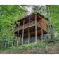 56 Riverbend Trail, Ellijay, GA 30540 ID:8853665