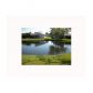 438 LAKEVIEW DR # 104, Fort Lauderdale, FL 33325 ID:9198064