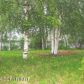 15988 Dawson Drive, Big Lake, AK 99652 ID:8991908