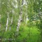 15988 Dawson Drive, Big Lake, AK 99652 ID:8991911