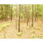 0 Maple Tree Lane, Hartwell, GA 30643 ID:9049356