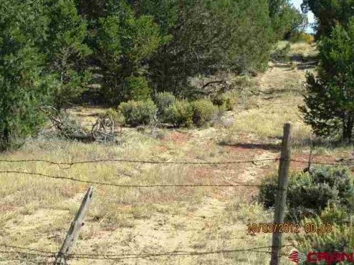 1401B County Rd 975, Arboles, CO 81121