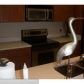 777 S Federal Hwy # 901-C, Pompano Beach, FL 33062 ID:9166097