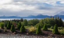 924 Quiet Creek Drive Homer, AK 99603