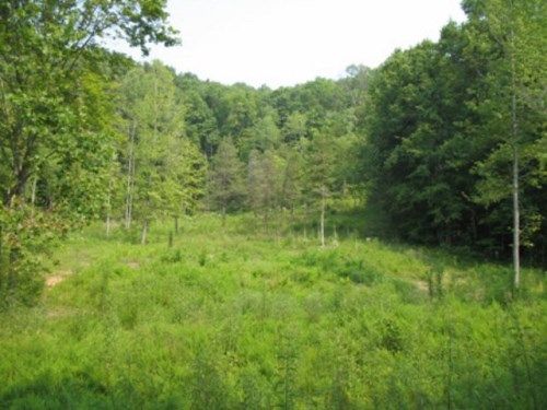 30 AC. WILLOW GROVE HWY., Allons, TN 38541