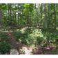 1130 South Trace, Rutledge, GA 30663 ID:9231174