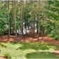 4229 Tall Hickory Trail, Gainesville, GA 30506 ID:9221847