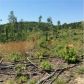 0 Overlook Trail, Dallas, GA 30132 ID:9165521