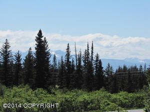 147 Skyline Drive, Homer, AK 99603