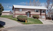 414 Meadow Brook Court Hayden, CO 81639