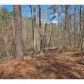 0 Island Mill Road Se, Acworth, GA 30102 ID:9000804