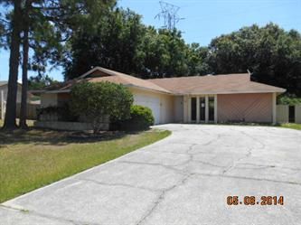 16207   Pebblebrook Dr, Tampa, FL 33624