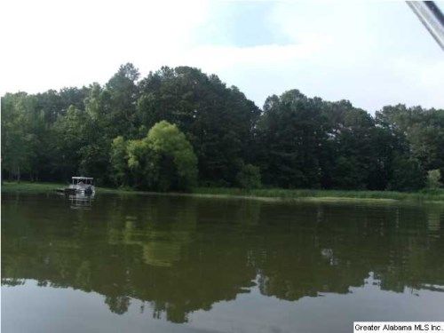 0 WATER OAK LN 28, Alpine, AL 35014